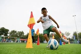 APEX英雄赛事节奏变化分析