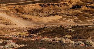 【球员DA小事】喜欢中华料理的I人重炮 - 万波中正｜日职